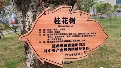 “種”希望！綠化中普，共建美麗家園